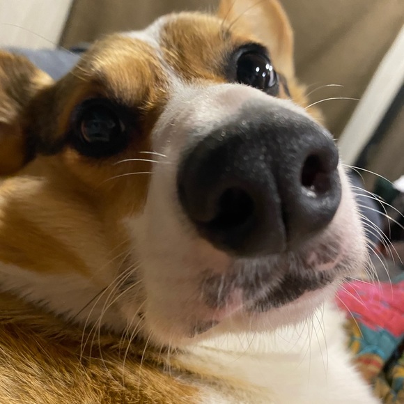 Meet your Posher, Jessica - Picture 3 of 3